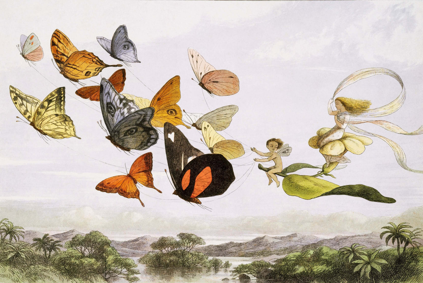 Butterflies Fairy Mural Wallpaper (SqM)