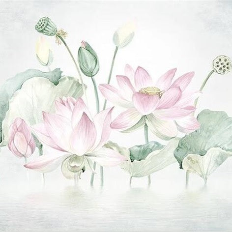 Morning Lotus Romance Wall Mural (SqM)