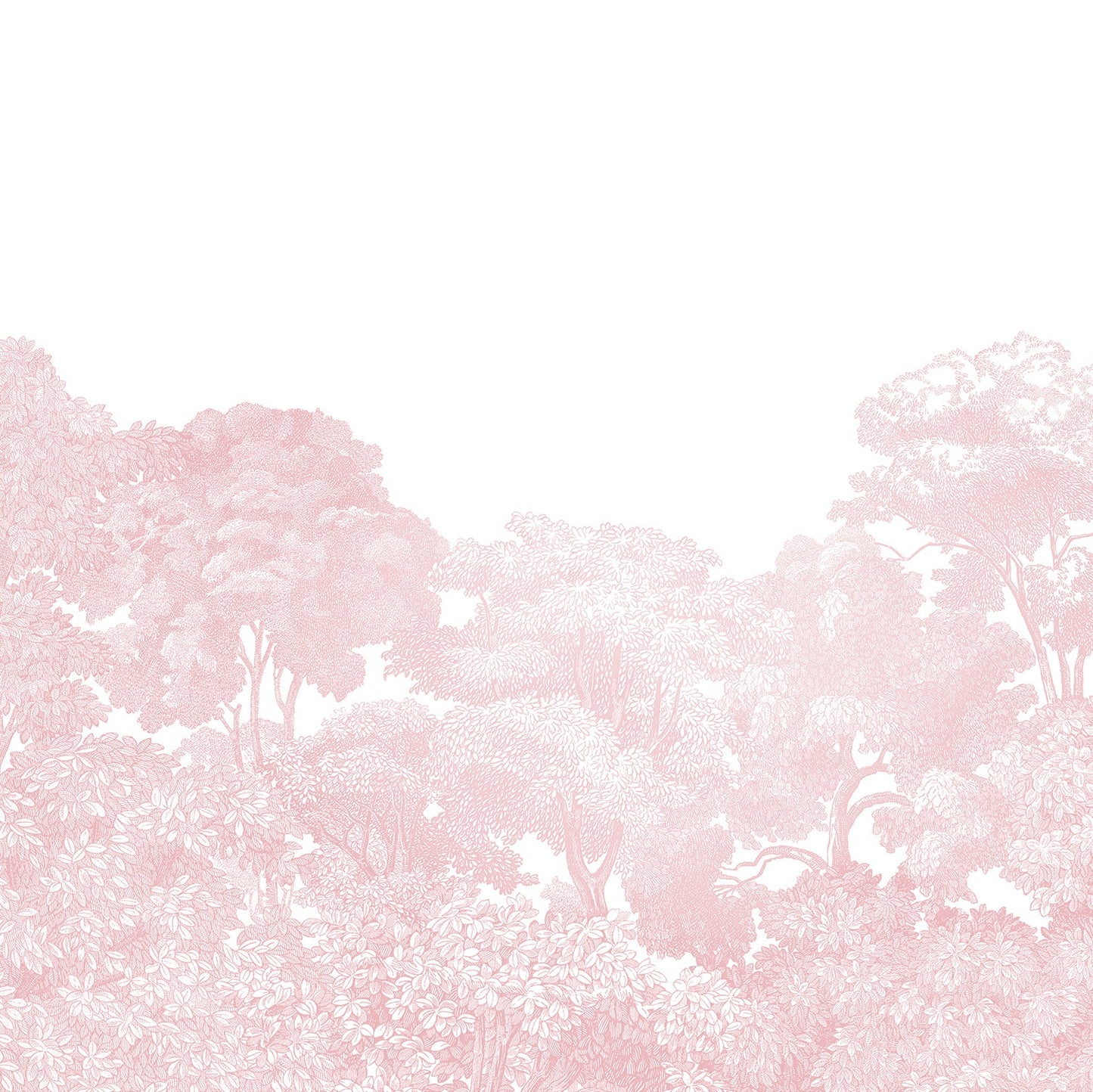 Bellewood Dusty Pink Forest Mural Wallpaper (SqM)