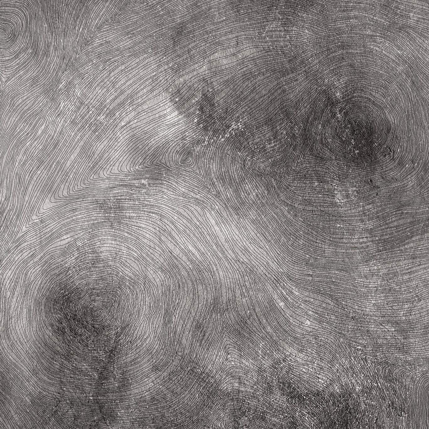 Serenity Grey Wood Mural Wallpaper (SqM)