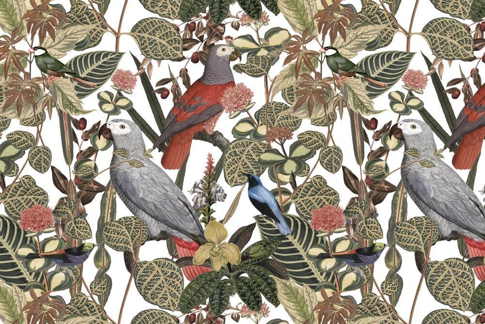 Jungle Grey Parrots Mural Wallpaper (SqM)