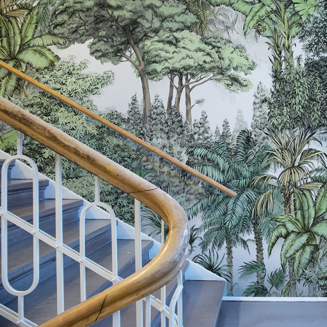 Tropical Jungle Lush Mural Wallpaper (SqM)