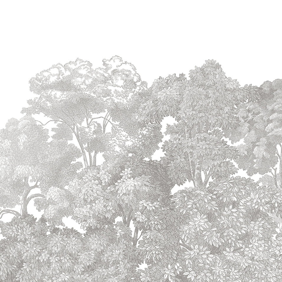 Bellewood Grey Fog Wall Mural Wallpaper (SqM)