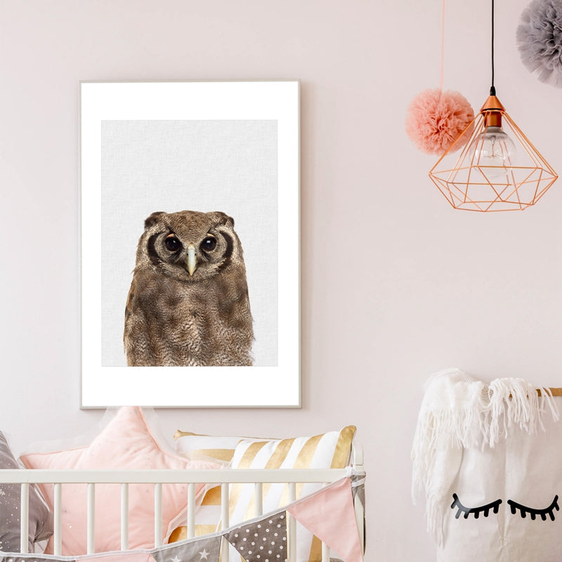 Brown Owl